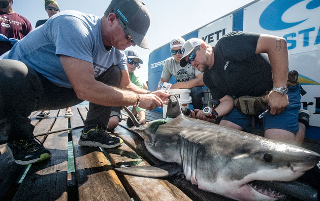 OCEARCH